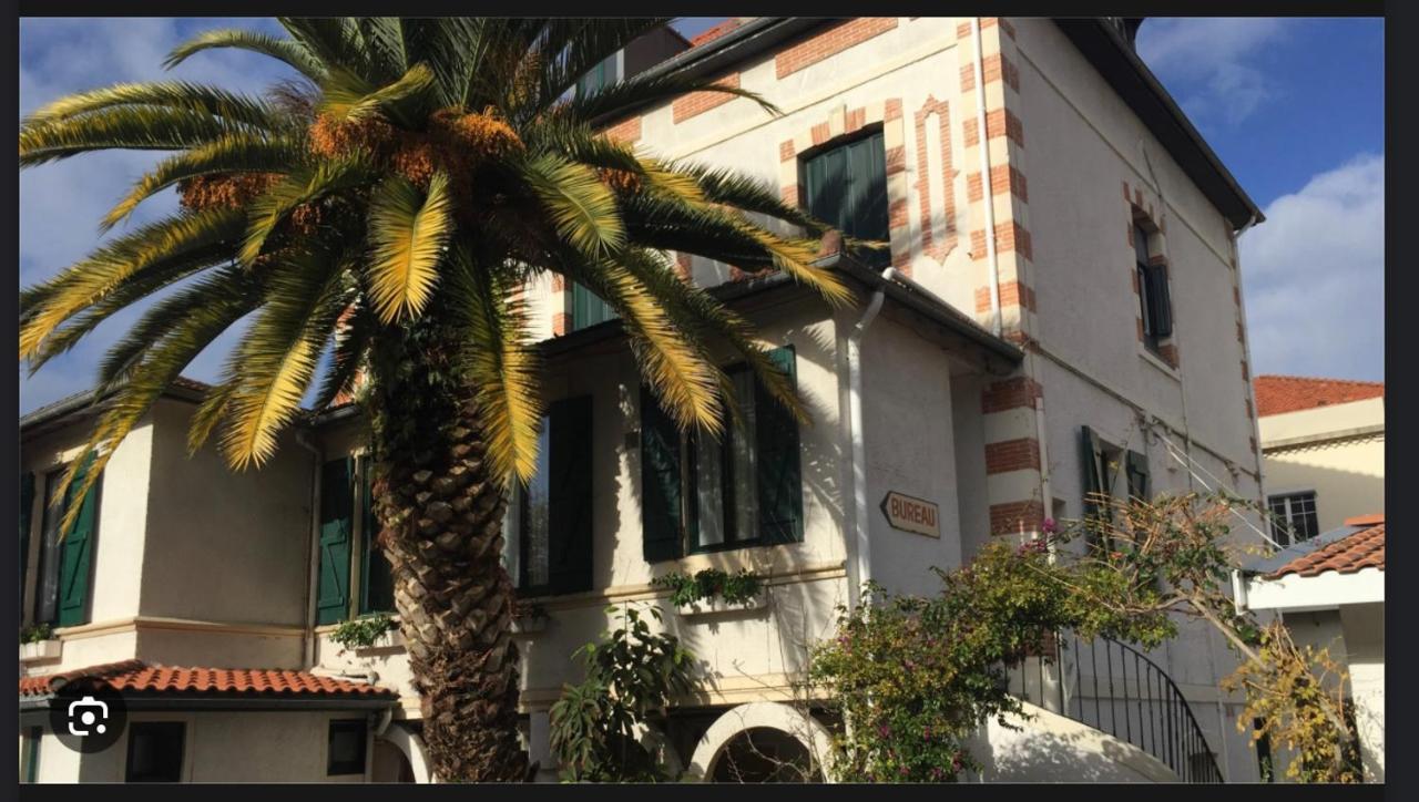 Apartment Le Grillon 2.0